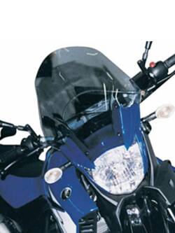 Screen GIVI Triumph Tiger 900 Rally (20-22)