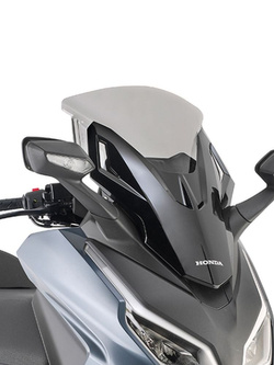 Screen GIVI Triumph Tiger 900 Rally (20-22)